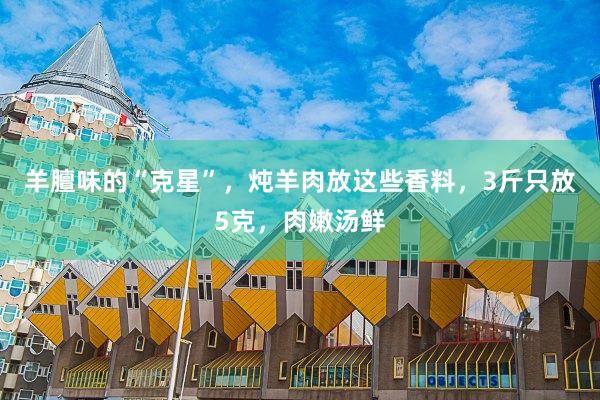 羊膻味的“克星”，炖羊肉放这些香料，3斤只放5克，肉嫩汤鲜