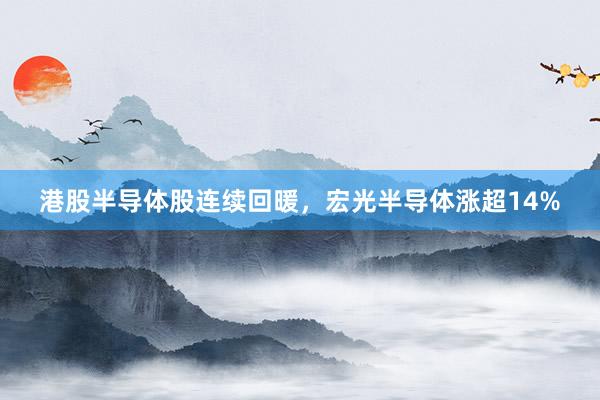 港股半导体股连续回暖，宏光半导体涨超14%