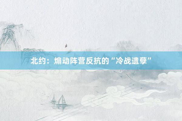 北约：煽动阵营反抗的“冷战遗孽”