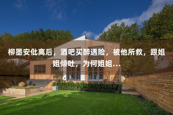 柳墨安仳离后，酒吧买醉遇险，被他所救，跟姐姐倾吐，为何姐姐…