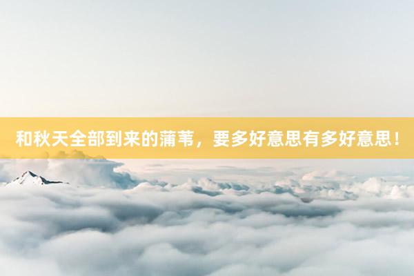 和秋天全部到来的蒲苇，要多好意思有多好意思！