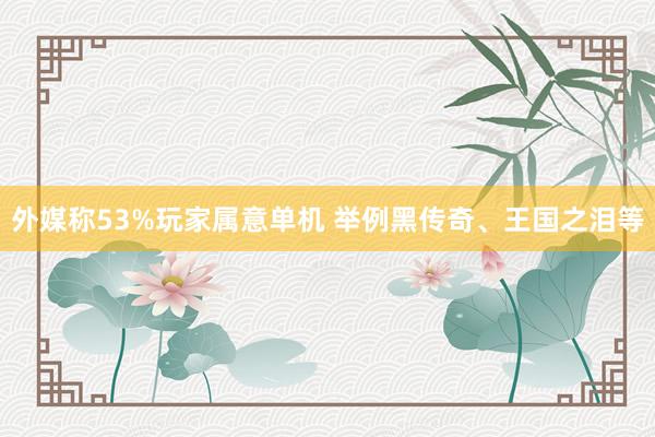 外媒称53%玩家属意单机 举例黑传奇、王国之泪等