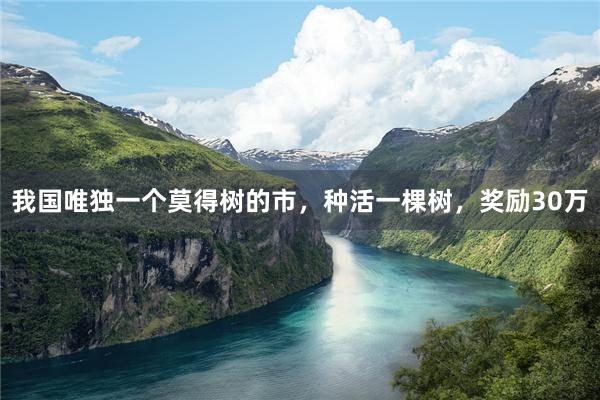 我国唯独一个莫得树的市，种活一棵树，奖励30万