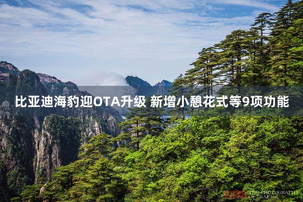 比亚迪海豹迎OTA升级 新增小憩花式等9项功能