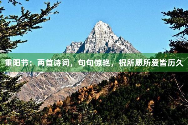 重阳节：两首诗词，句句惊艳，祝所愿所爱皆历久
