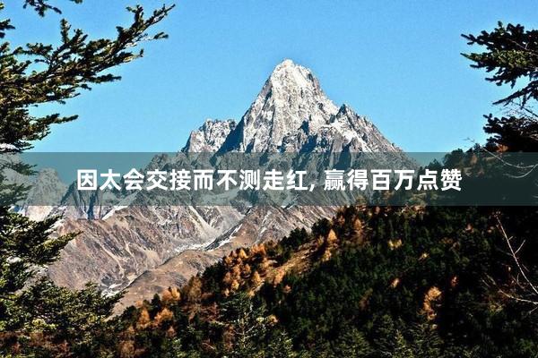 因太会交接而不测走红, 赢得百万点赞