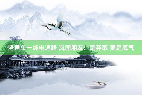 坚捏单一纯电道路 岚图朋友：是弃取 更是底气